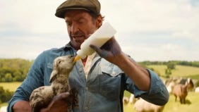 The Sheep Detectives Review (In Theaters)