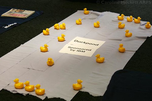 Down By The Duck Pond