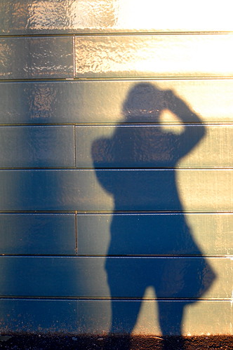 Me and My Shadow