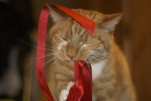 Ribbon Omnomnom