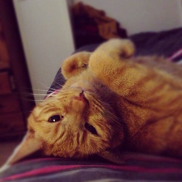 Dusty says good morning.