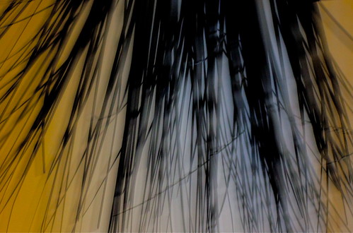 Week 5: Abstracts