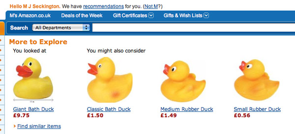 Amazon-Ducks